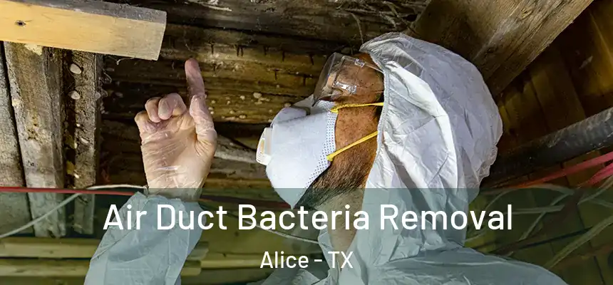 Air Duct Bacteria Removal Alice - TX