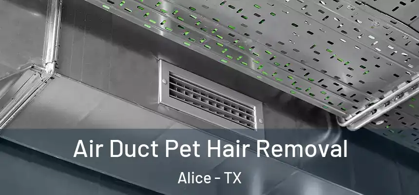  Air Duct Pet Hair Removal Alice - TX