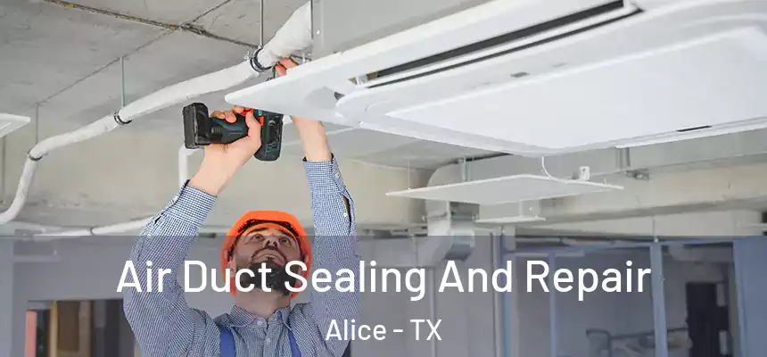  Air Duct Sealing And Repair Alice - TX