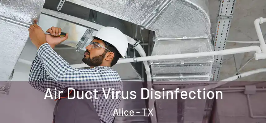 Air Duct Virus Disinfection Alice - TX