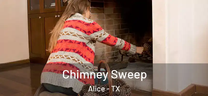  Chimney Sweep Alice - TX