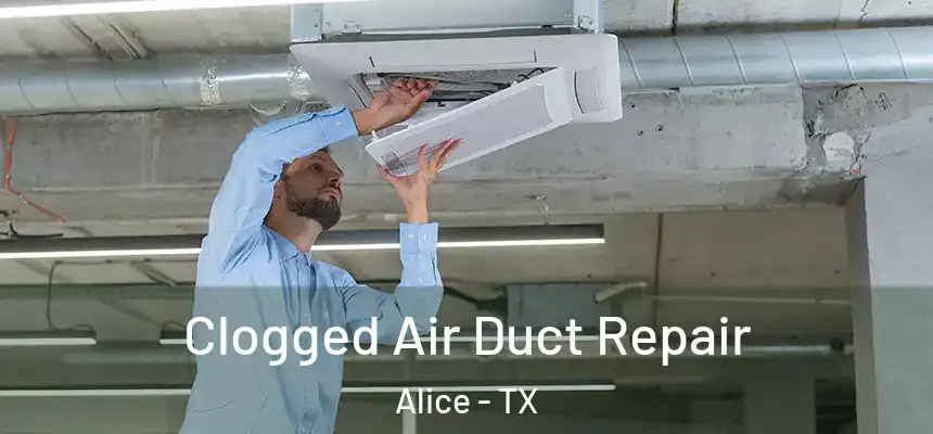  Clogged Air Duct Repair Alice - TX