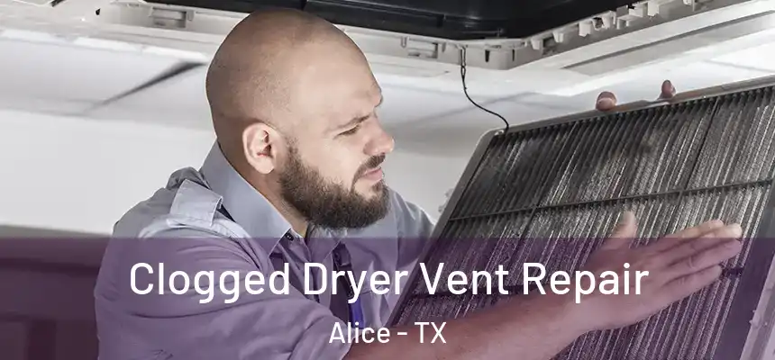 Clogged Dryer Vent Repair Alice - TX