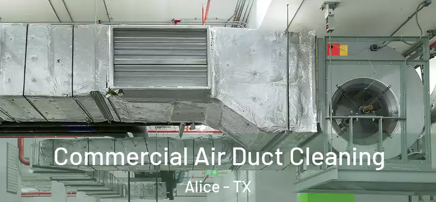  Commercial Air Duct Cleaning Alice - TX