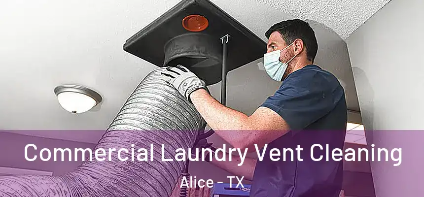  Commercial Laundry Vent Cleaning Alice - TX