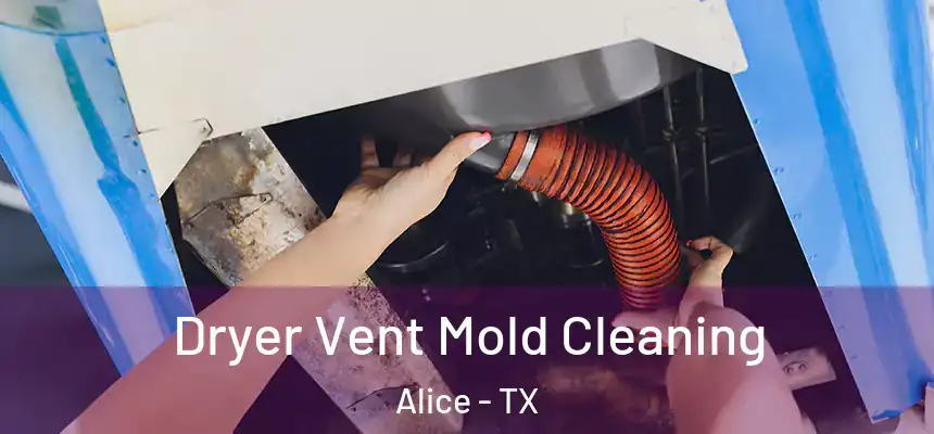  Dryer Vent Mold Cleaning Alice - TX