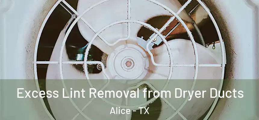  Excess Lint Removal from Dryer Ducts Alice - TX