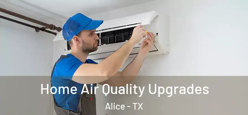  Home Air Quality Upgrades Alice - TX