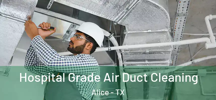  Hospital Grade Air Duct Cleaning Alice - TX