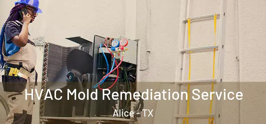 HVAC Mold Remediation Service Alice - TX