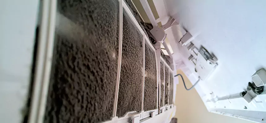 Preventive Air Duct Bacteria Removal in Alice