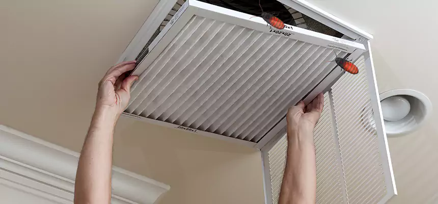 Preventive Cockroach-Proofing for Ducts in Alice