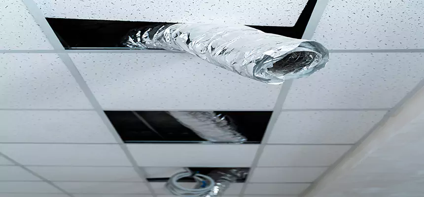 Our Air Duct Pet Hair Removal Services in Alice, TX