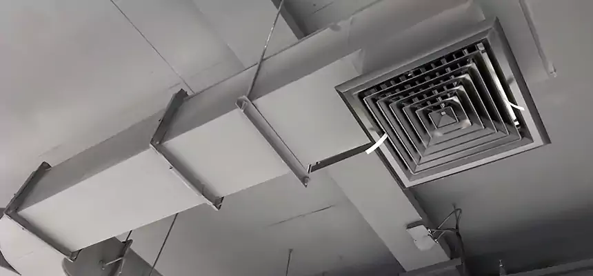 Restorative Allergy Relief Vent Cleaning – Coil, Blower & Housing Detail in Alice