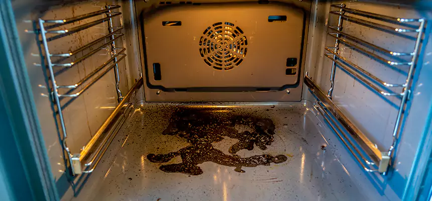 Our Dryer Vent Mold Cleaning Services in Alice, TX