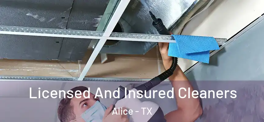  Licensed And Insured Cleaners Alice - TX