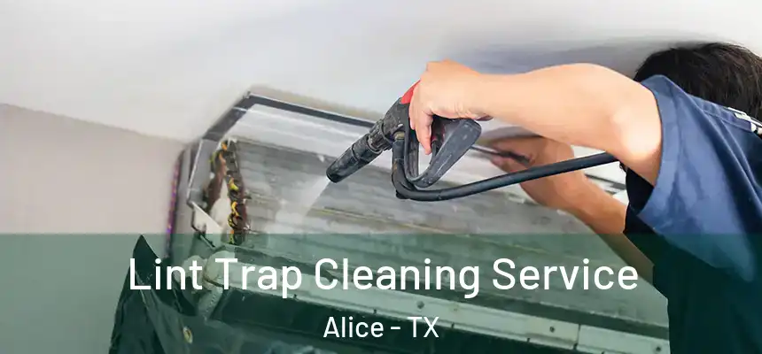 Lint Trap Cleaning Service Alice - TX