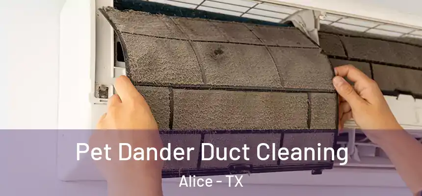 Pet Dander Duct Cleaning Alice - TX