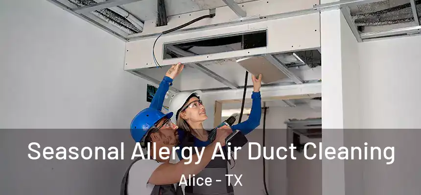  Seasonal Allergy Air Duct Cleaning Alice - TX
