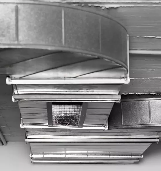 Professional Air Duct Pet Hair Removal in Alice, TX