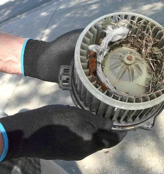 About Air Duct Rat Removal in Alice, TX