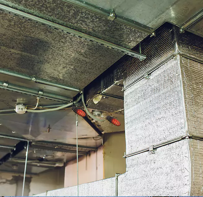 Why Homeowners & Businesses Trust Us in Alice, TX?