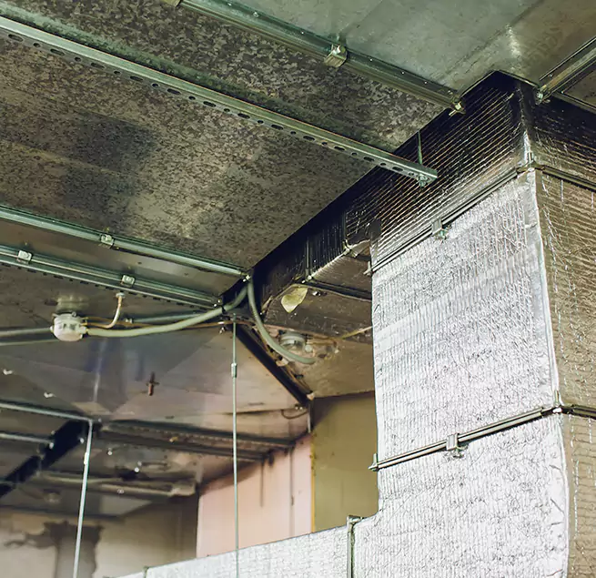 Why Homeowners & Businesses Trust Us in Alice, TX?