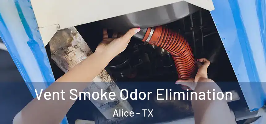 Vent Smoke Odor Elimination Alice - TX