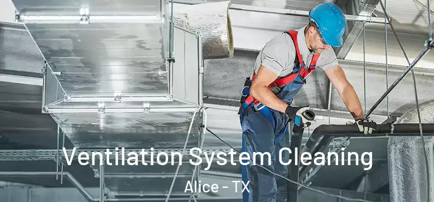  Ventilation System Cleaning Alice - TX