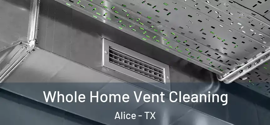 Whole Home Vent Cleaning Alice - TX